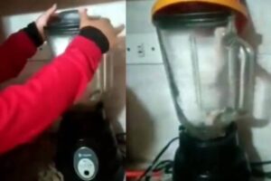 vídeo gato no liquidificador