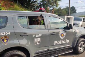 cães farejadores droga carapicuíba