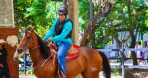 equoterapia osasco