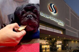 oficina biscoito pets supershopping osasco