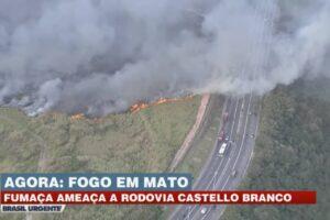 incêndio vegetação barueri