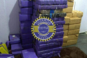 maconha cotia