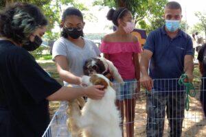 feira adoção cães barueri