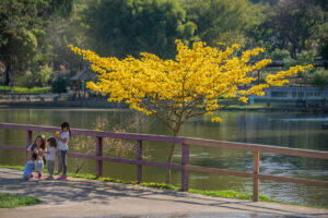 parque barueri