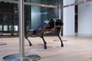 CyberDog