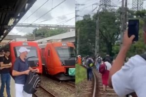 trem viamobilidade linha 8