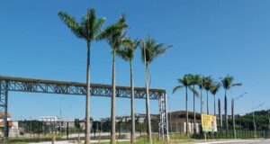 parque da juventude barueri