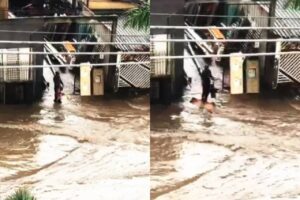 multado descarte lixo na rua carapicuíba