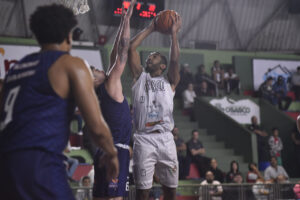 basket osasco