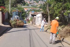 limpeza bairro girassol cotia