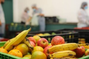 seguranca alimentar osasco