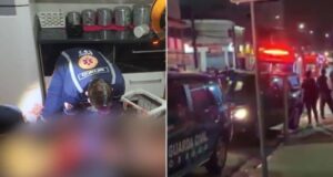 dono atacado por pitbull osasco