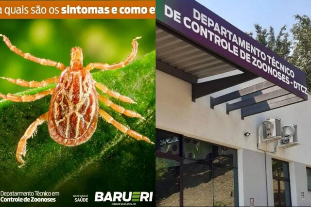 febre maculosa alerta barueri