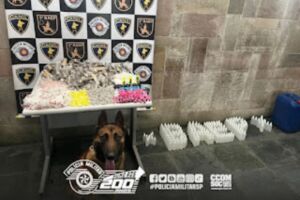 apreensão drogas Osasco