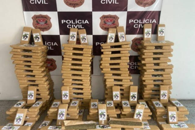 maconha drogas carapicuíba