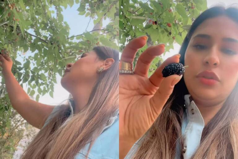 Simone exibe pé de amora no quintal de sua mansão em Alphaville: “gente do céu, quero mais”
