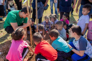 virada ambiental