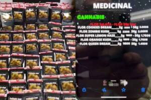 maconha gourmet alphaville (1)