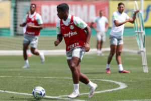 Pameiras Arena