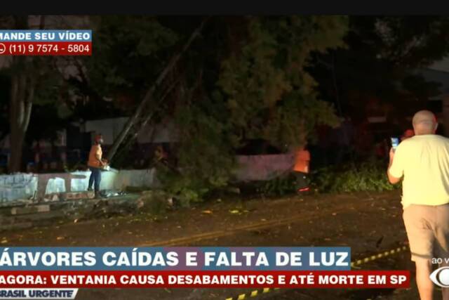 temporal queda de arvores morte osasco são paulo (1)