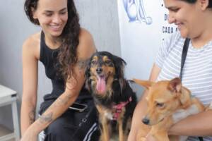 feira de adoção de pets barueri (1)