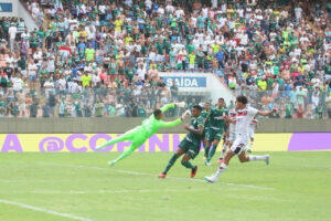 Palmeiras Oeste