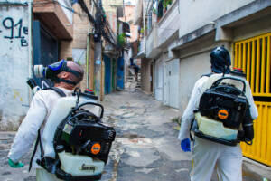 combate a dengue osasco