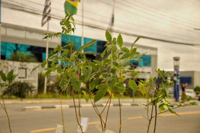 despertar ecológico sustentabilidade cotia