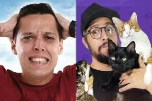 stand up osasco