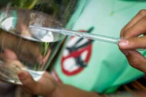 dengue osasco