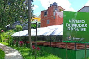 osasco viveiro de mudas