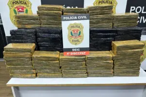 drogas Embu Transportadora