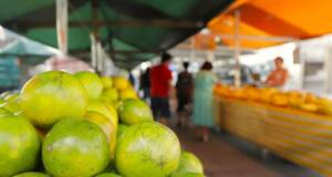 feira livre barueri engenho novo