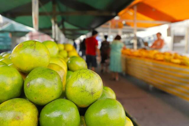 feira livre barueri engenho novo