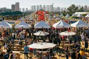 festa são joão de são paulo parque villa-lobos (1)