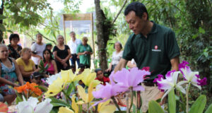 Centro de Educação para Sustentabilidade Dia Munidla Meio Ambiente Carapicuíba