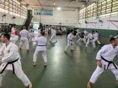 karate osasco