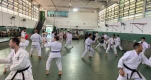 karate osasco