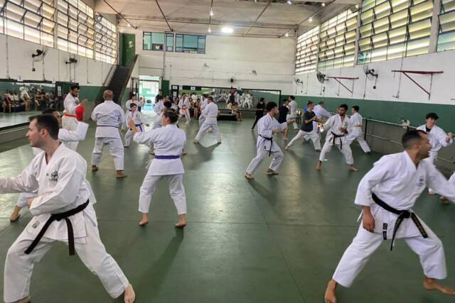 karate osasco