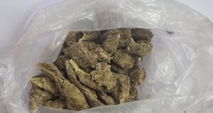 drogas maconha CDP OSasco