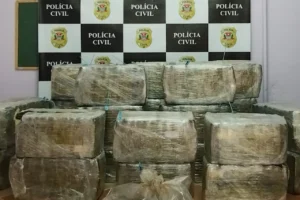 maconha Carapicuíba