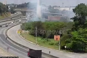 incêndio em vegetação osasco