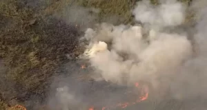 incêndio reserva ambiental cotia