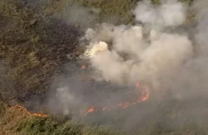 incêndio reserva ambiental cotia