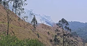 incêndio rodoanel Santana Barueri