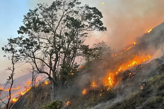 incêndio Rodoanel Osasco