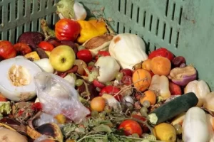dia do desperdício de alimentos osasco