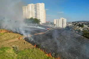 lei proibe queimadas itapevi