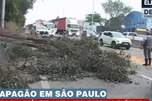 queda de arvore raposo tavares cotia