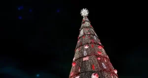 arvore de natal parque villa lobos sao paulo